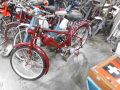 DSCI8597