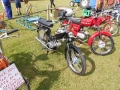 DSCI5887