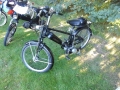 DSCI4563